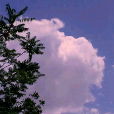 战姬纪元游戏(暂未上线)v1.0 安卓版